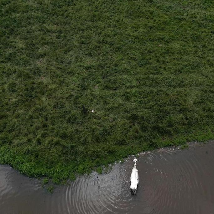 Ontario not respecting environmental consultation obligations, auditor says